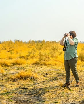 Wildlife Spotting at Sunset