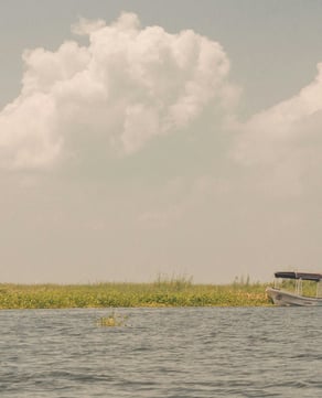 Airboat Tours Through Wetlands