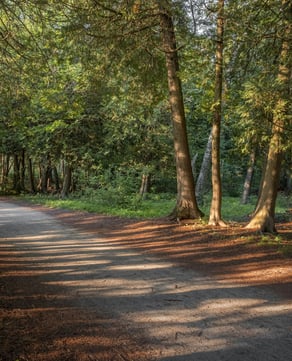 Shingle Creek Regional Park