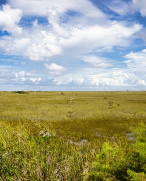 Everglades National Park