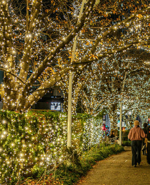 Disney Springs Christmas Trail