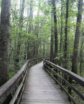 Tibet-Butler Preserve