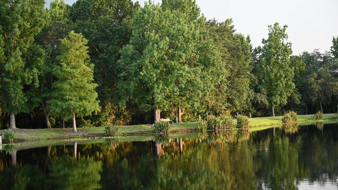 Exciting Kid-Friendly Activities Near Kissimmee Home Stays