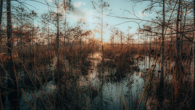 Eco-Friendly Guide: Kissimmee Home Stays & Attractions
