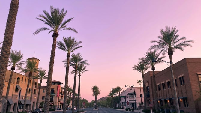 Unmissable Cultural Experiences Near Your Kissimmee Home Stay